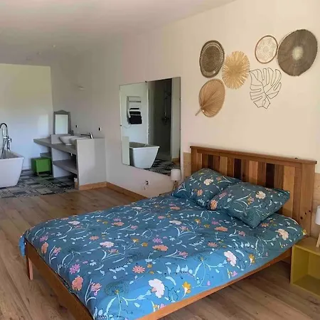 Independant Dans Maison, Avec Jacuzzi Apartment